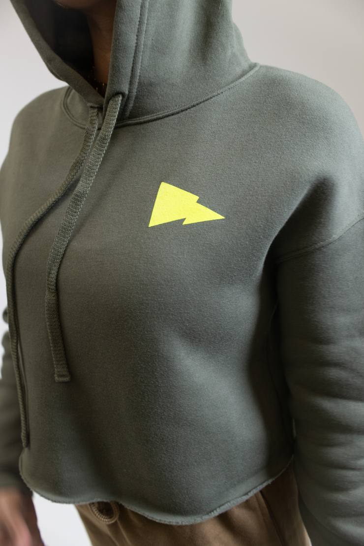 Flag and Logo Cropped Hoodie