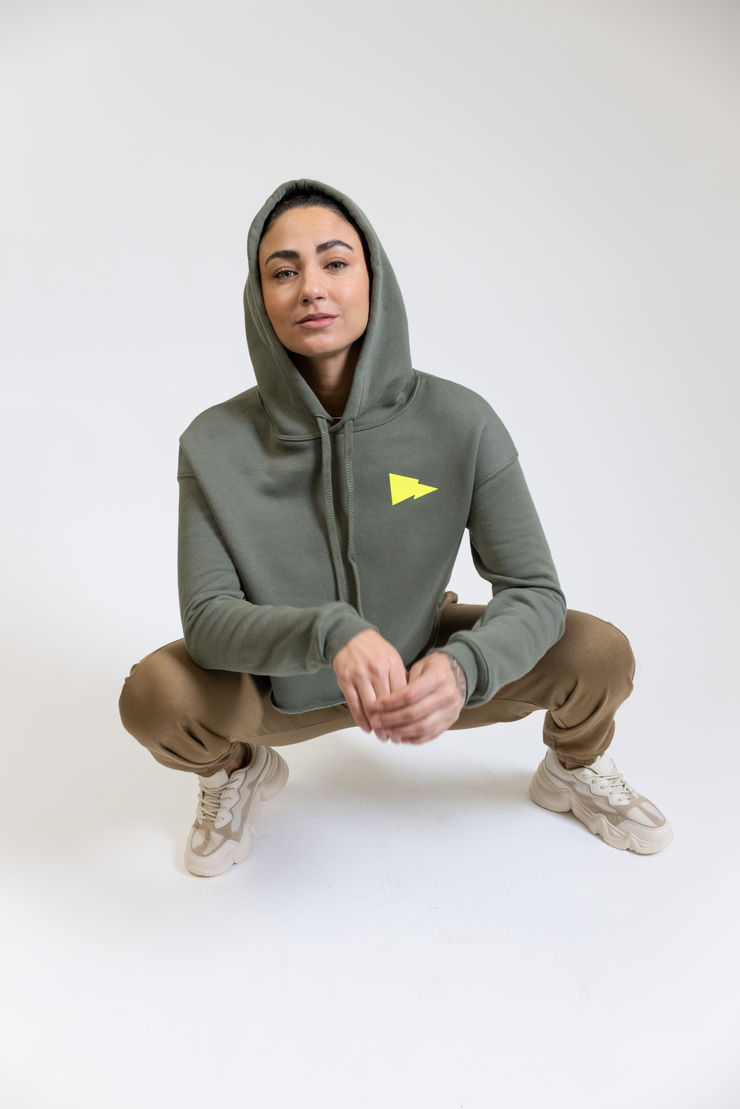Flag and Logo Cropped Hoodie